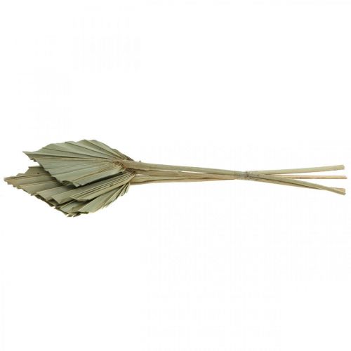 Artikel Mini-Palmspear, Trockenfloristik, Adventsdeko, Gedenktage Natur L33–34cm B7–9cm 4 St
