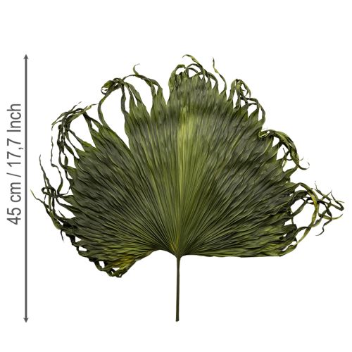 Palmwedel künstlich dekorativ für exotische Arrangements 5St 45cm