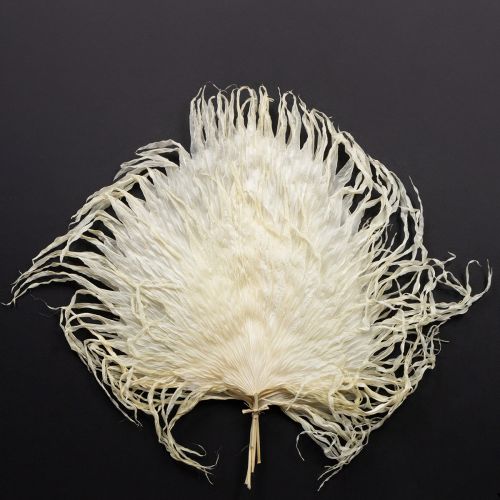 Palmwedel getrocknet Deko Blätter gebleicht 45cm 5 St