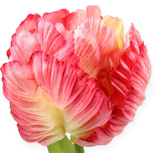Floristik24 Papagei-Tulpe Pink 71cm 3St