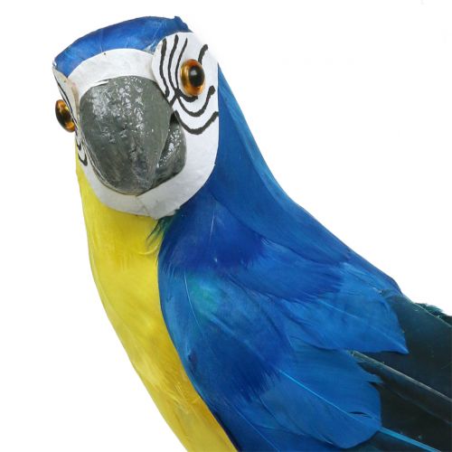 Floristik24 Deko Papagei Blau 44cm