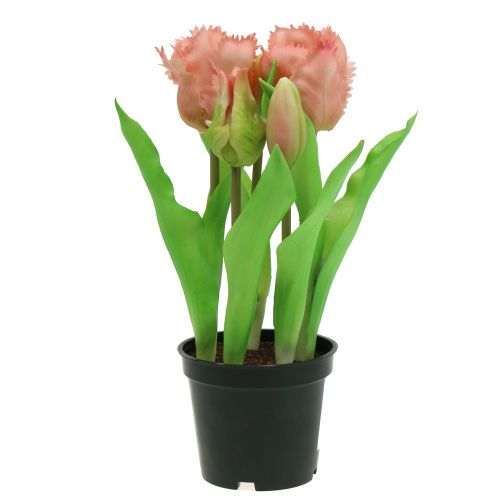 Papageientulpe Real-Touch im Topf Rosa 23cm