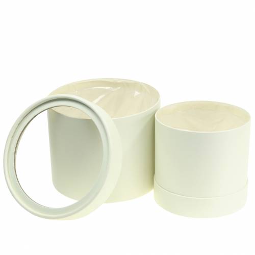 Floristik24 Blumenbox rund Karton Creme Ø12,5/16cm 2er Set