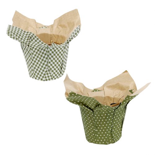 Floristik24 Papiertopf mit Muster Grün-Weiß Ø9,5cm 12 St