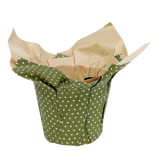 Floristik24 Papiertopf mit Muster Grün-Weiß Ø9,5cm 12 St