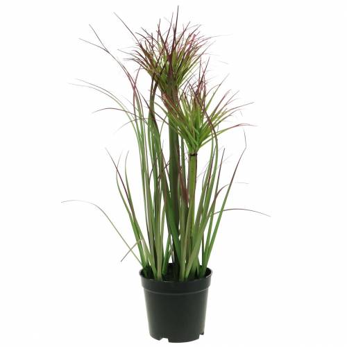 Zypergras im Topf künstlich Grün, Rotlila 45cm