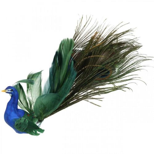 Floristik24 Paradiesvogel, Pfau zum Klemmen, Federvogel, Vogeldeko Blau, Grün, Bunt H8,5 L29cm