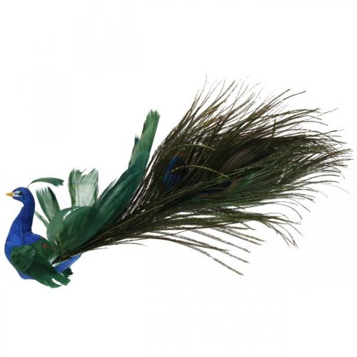 Floristik24 Paradiesvogel, Pfau zum Klemmen, Federvogel, Vogeldeko Blau, Grün, Bunt H8,5 L29cm