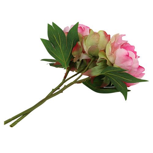 Floristik24 Pfingstrosen mit Knospe Rosa L30cm 2St