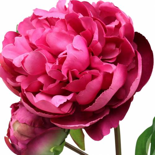 Floristik24 Pfingstrose Kunstblume mit Blüte und Knospe Lila Magenta 68cm