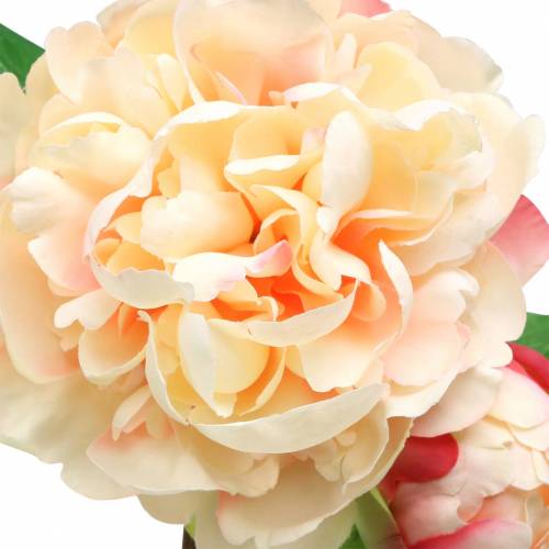 Floristik24 Pfingstrose mit Blüte und Knospe künstlich Pfirsich 70cm
