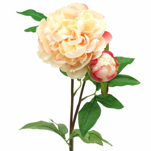 Floristik24 Pfingstrose mit Blüte und Knospe künstlich Pfirsich 70cm
