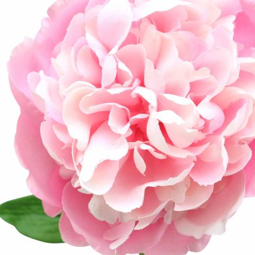 Artikel Pfingstrose Kunstblume mit Blüte und Knospe Rosa 68cm