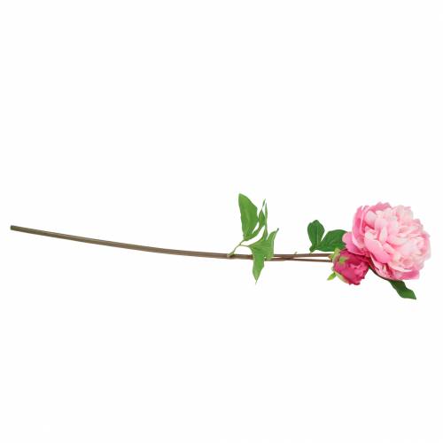 Floristik24 Pfingstrose Kunstblume mit Blüte und Knospe Rosa 68cm
