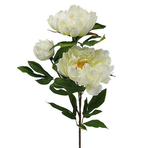 Floristik24 Pfingstrose Kunstblumen Creme L70cm