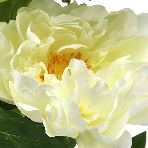 Floristik24 Pfingstrose Kunstblumen Creme L70cm