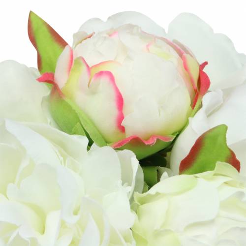 Floristik24 Pfingstrose Bund Weiß / Rosa 27cm 6St