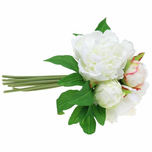 Floristik24 Pfingstrose Bund Weiß / Rosa 27cm 6St