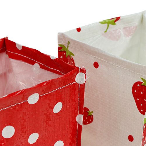 Floristik24 Pflanzenbox 10x10cm 8St. Rot/Weiß