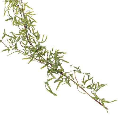 Artikel Asparagus Girlande für festliche Raumdekoration und stilvolle Anlässe 170cm