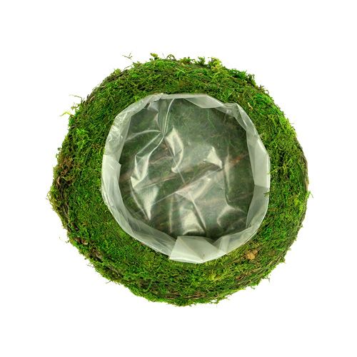 Floristik24 Pflanzenschale Moos Zweige Ø20cm
