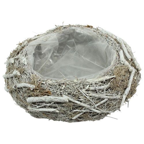 Floristik24 Pflanzschale Grau Ø25cm