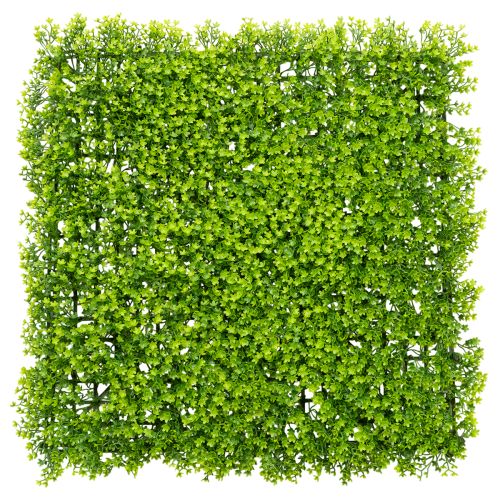 Künstliche Buchsbaum-Matte 55x55 cm aus grünem Kunststoff für dekorative Wandgestaltung bestellen | Floristik24.at