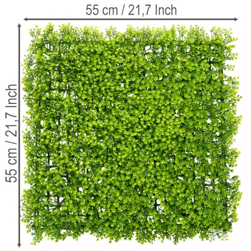 Künstliche Buchsbaum-Matte 55x55 cm aus grünem Kunststoff für dekorative Wandgestaltung | Floristik24.at