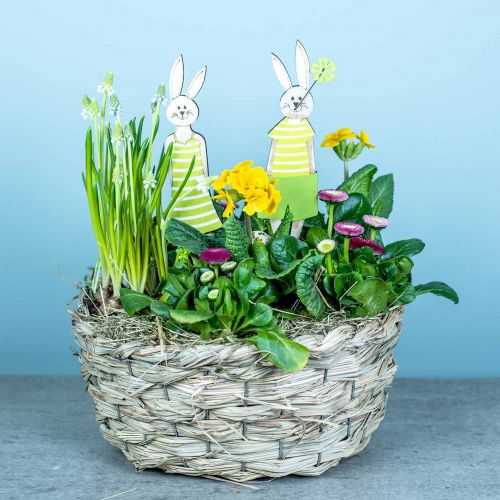 Floristik24 Pflanzgefäß aus Heu, Deko-Korb, Pflanzkorb, Blumen-Korb oval 3er-Set