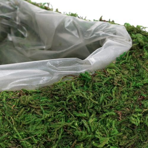 Floristik24 Pflanzherz Moos 28cm x 23cm