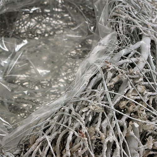 Artikel Pflanzherz Rebe Weiß Herz zum Bepflanzen 38×32×7,5cm