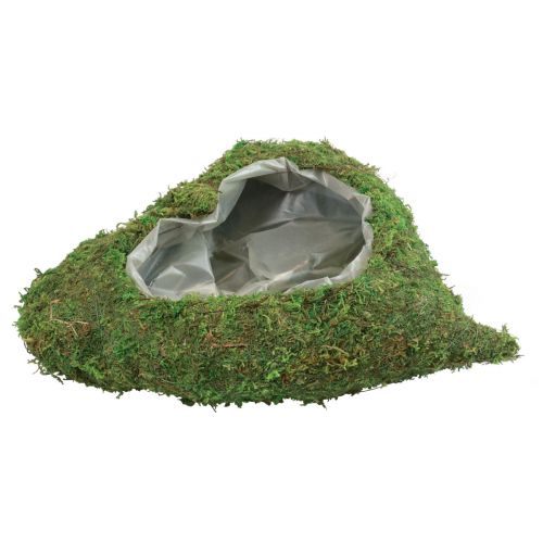 Floristik24 Pflanzherz Moos Grün Pflanzschale Herz 26×30×8cm