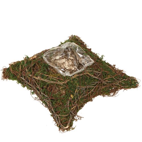 Pflanzkissen Reben Moos Pflanzschale Natur 20×20×6,5cm