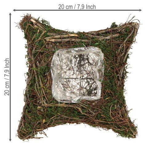 Artikel Pflanzkissen Reben Moos Pflanzschale Natur 20×20×6,5cm