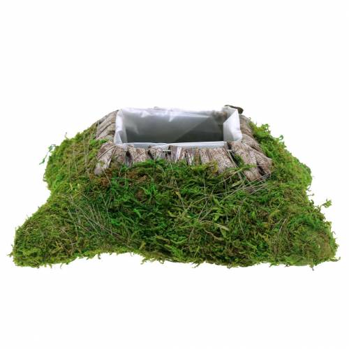 Floristik24 Pflanzkissen Moos, Rinde 25cm × 25cm