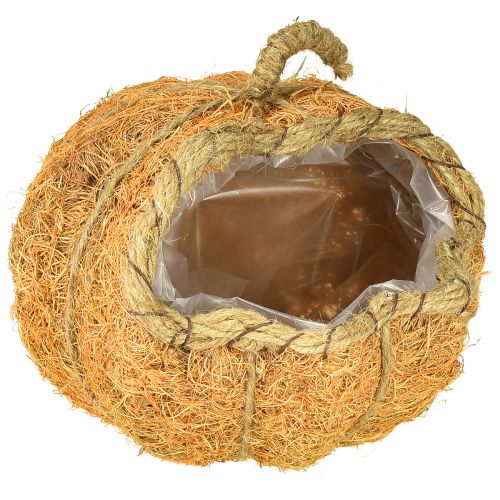 Pflanzkorb Kürbis mit Folie Herbstdeko Orange Ø18cm H15cm