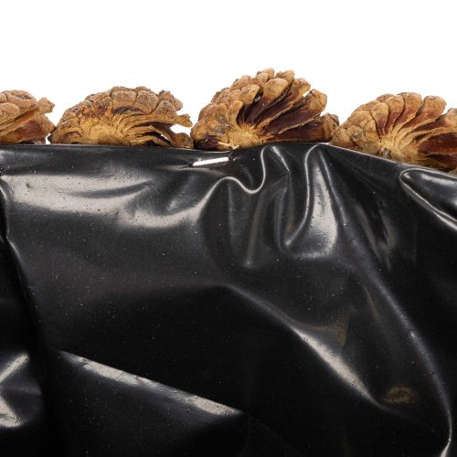 Runde Schale aus Tannenzapfen