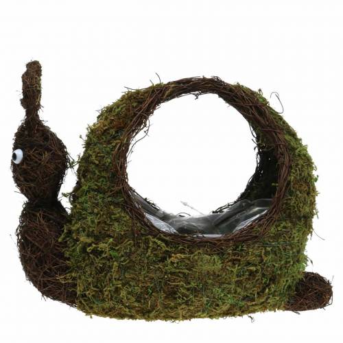 Floristik24 Pflanzkorb Schnecke Moos Braun 29x13cm H23cm