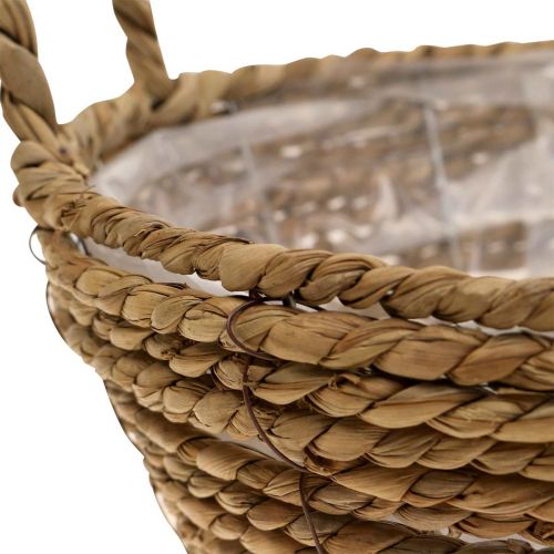 Floristik24 Pflanzkorb rund Seegras Korb mit Henkeln Dekokorb Ø25cm H9cm