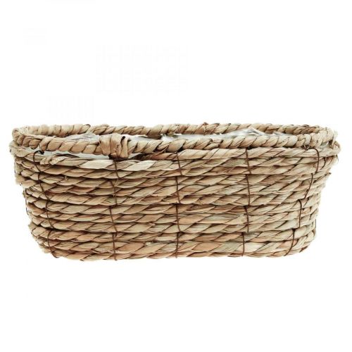 Floristik24 Pflanzkorb Seegras Korb oval Dekokorb 28×15×10cm