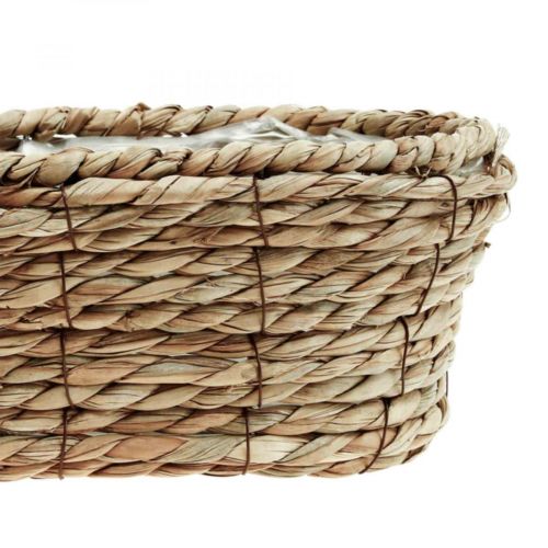 Floristik24 Pflanzkorb Seegras Korb oval Dekokorb 28×15×10cm