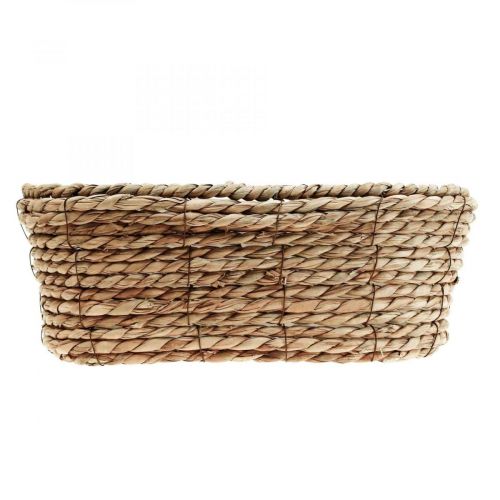 Floristik24 Pflanzkorb Seegras Korb oval Dekokorb 32×19×12cm