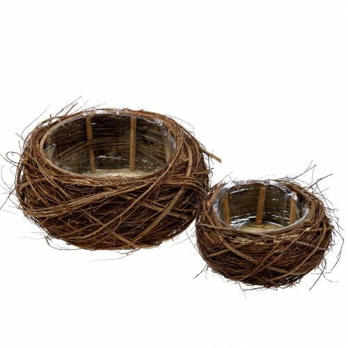 Floristik24 Pflanzkorb Rebe und Zweige Natur Ø37/28cm 2-er Set