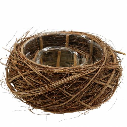 Floristik24 Pflanzkorb Rebe und Zweige Natur Ø37/28cm 2-er Set