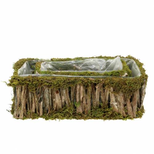 Floristik24 Pflanzkorb eckig Moos, Rinde 34×15,5/24,5×11cm 2er-Set