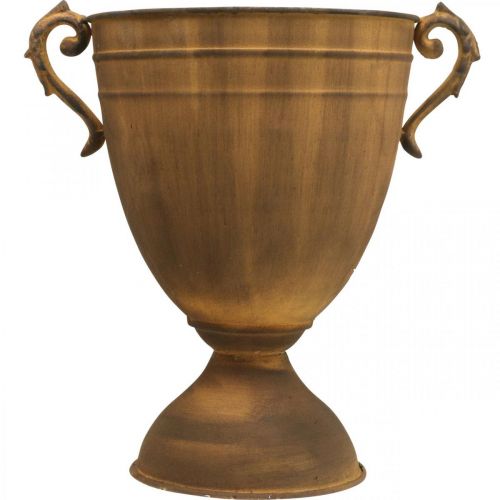 Pflanzkübel Rost Optik Pokalvase Metall Ø22,5cm H32,5cm | Floristik24.at