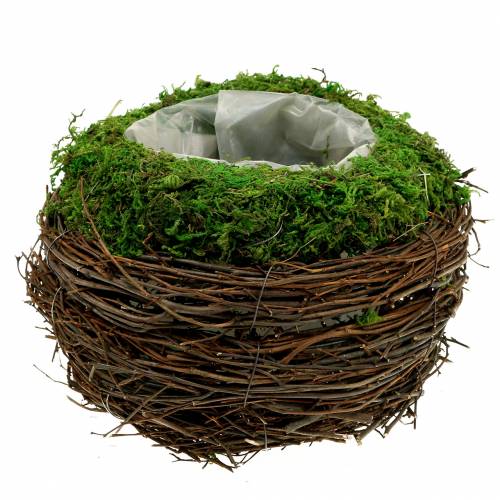 Floristik24 Pflanzschale Rattan, Moos Ø19cm H13cm