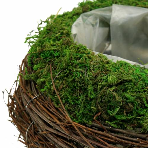 Floristik24 Pflanzschale Rattan, Moos Ø19cm H13cm