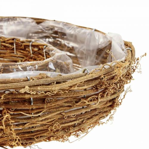 Floristik24 Pflanzring aus Rebe, Pflanzschale Ø35/30cm 2er-Set