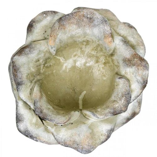 Floristik24 Beton-Rose, Gartendeko, Pflanzrose, Trauerfloristik Grau, Apricot, Violett Ø12cm L26,5cm H11cm